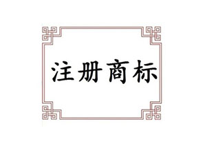 公司簡介